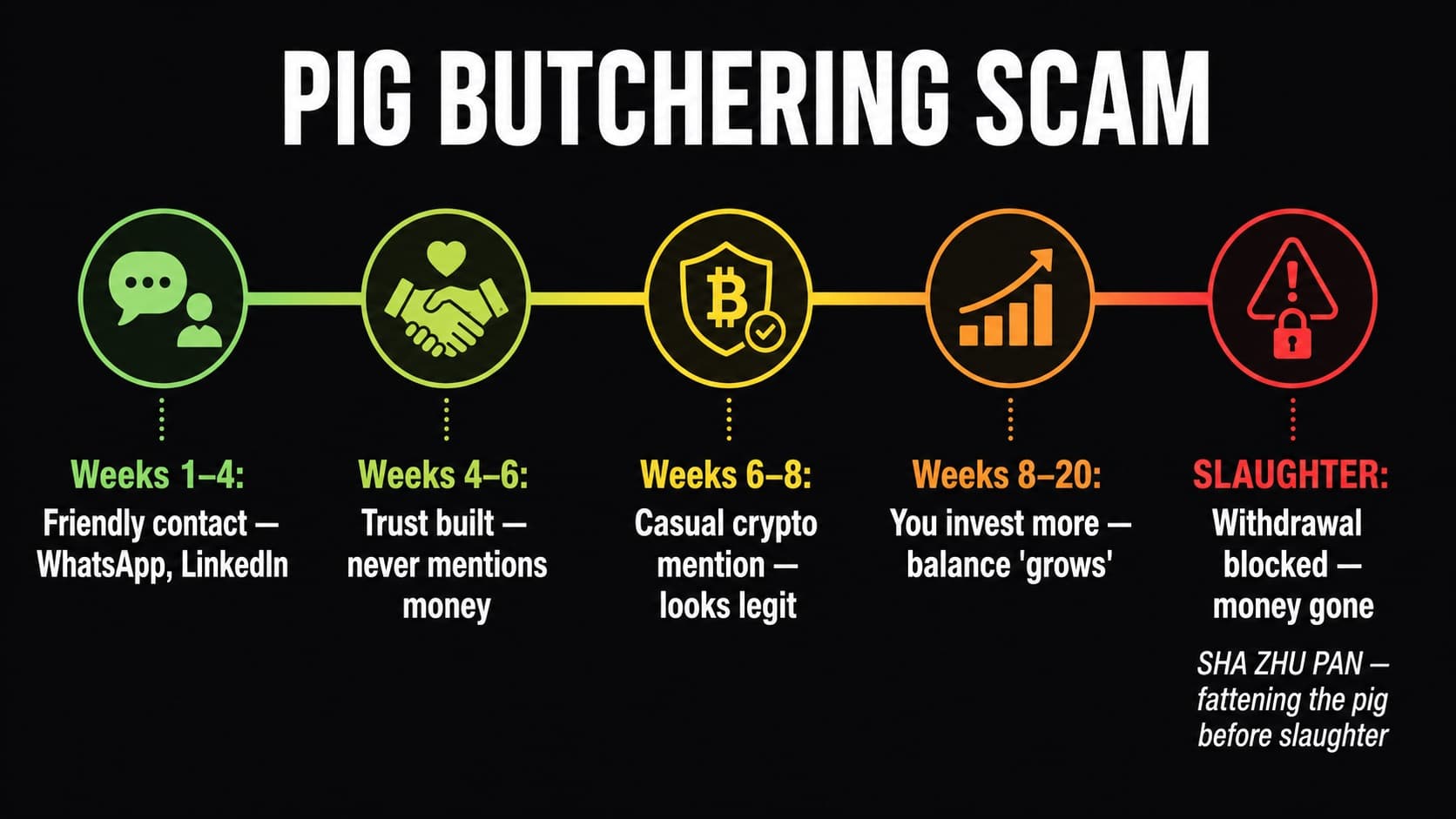 Pig butchering scam timeline: weeks 1–4 friendly contact, weeks 4–6 trust built, weeks 6–8 crypto mention, weeks 8–20 invest more, slaughter — withdrawal blocked